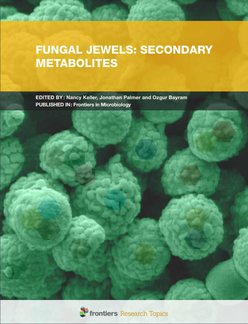 Fungi, Mushrooms, Natural Products, Silent Clusters, Gene Clusters, Secondary Metabolism, Mycotoxins, Molds, Antibiotics, Genome Mining