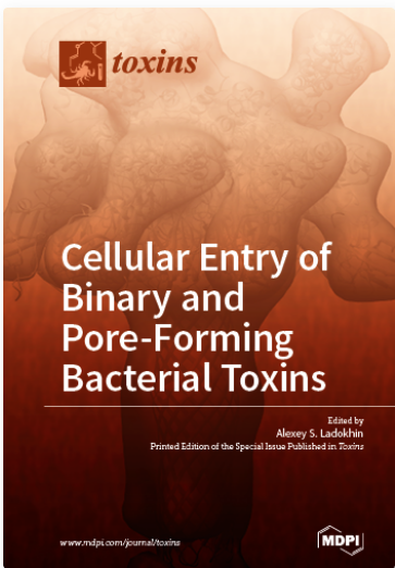 Membrane Permeabilization And Translocation, Toxin-Membrane Interactions, Bacterial Protein Toxins, Conformational Switching, Toxin-Based Targeted Delivery Of Therapeutic Agents, Cellular Uptake