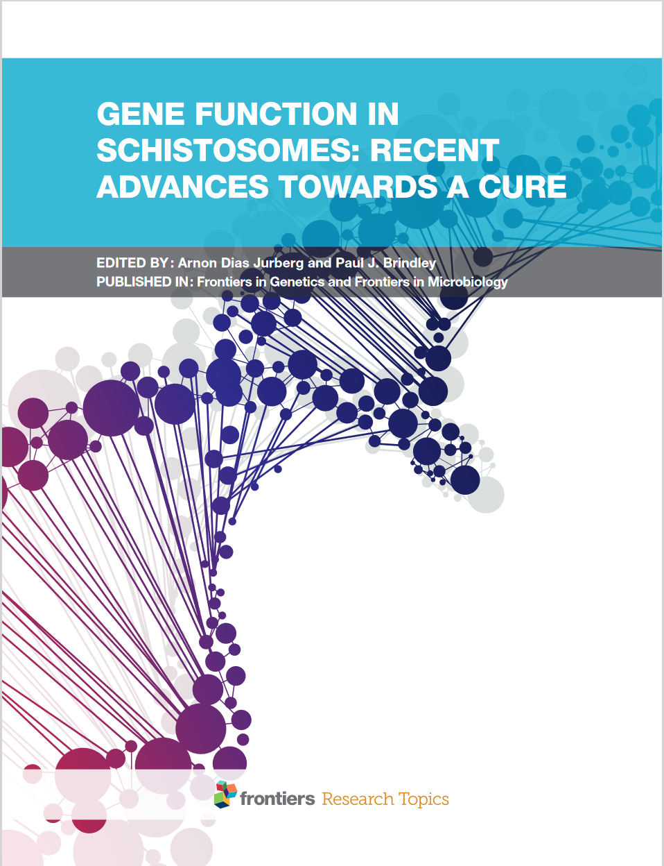 Schistosomiasis, Schistosoma Mansoni, S Japonicum, Neglected Tropical Diseases, Infection Induced Cancer, Anthelmintic Drugs, S Haematobium, Blood Fluke, Vaccines, Helminthiasis